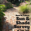 Sun & Shade Survey
