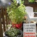 Container Gardening for Fruit & Vegetables