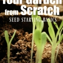 Your Garden From Scratch: Seed Starting Basics