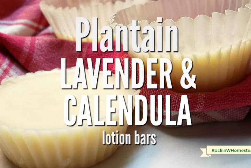 Lotion bars are healthy for the skin and easy to use instead of regular lotion and this recipe for plantain, lavender and calendula lotion bar uses the best skin care herbs.