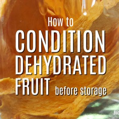 How to Condition Dehydrated Fruit Before Storage