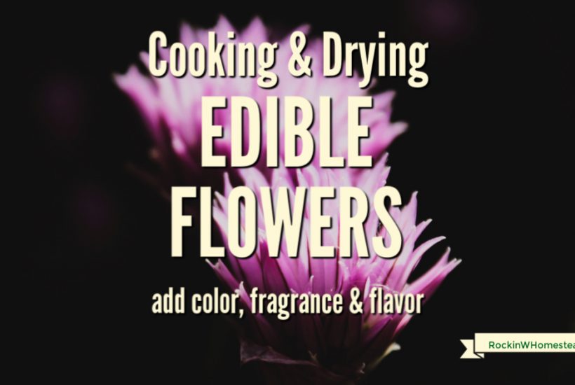 Cooking and drying edible herbs. The bounty that the Earth provides is amazing. Every year we learn more about the healing properties of the flowers and herbs that are all around us.