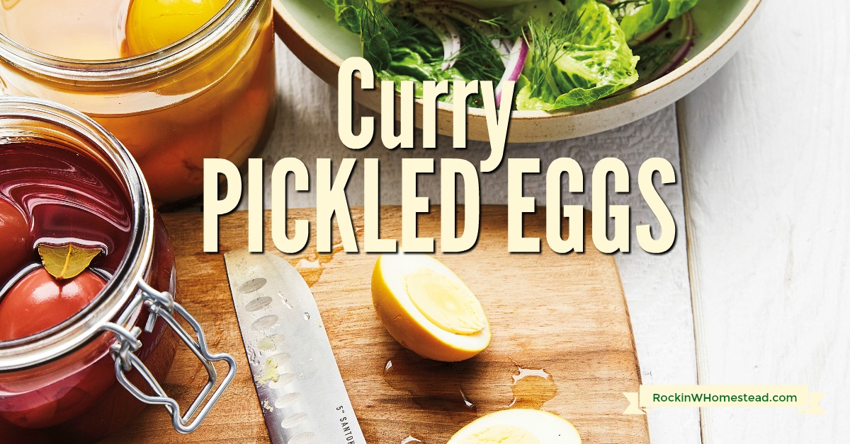 Curry Pickled Eggs Rockin W Homestead