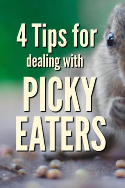 Dealing with picky eaters doesn't always have to be frustrating at meal time. Use these four tips to encourage them to eat and save your sanity.