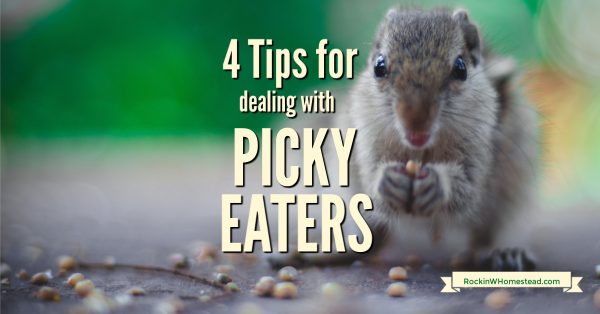Dealing with picky eaters doesn't always have to be frustrating at meal time. Use these four tips to encourage them to eat and save your sanity.