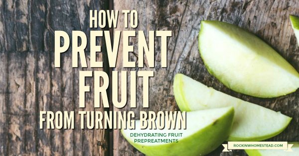 Some fruits and vegetables turn brown from oxidation while you are in the process of preserving them. Try one of these dehydrating fruit pretreatments to get the freshest finished product on your shelves. | Rockin W Homestead