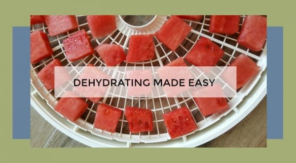 Dehydrating Made Easy Course