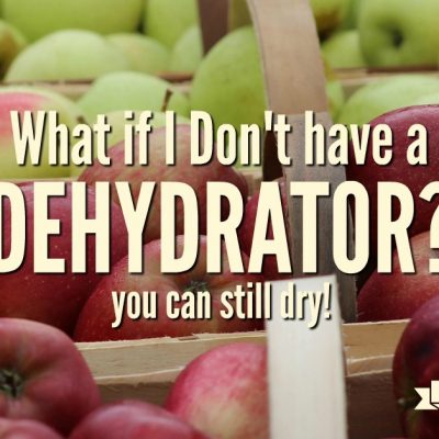 What If I don’t have a Dehydrator?