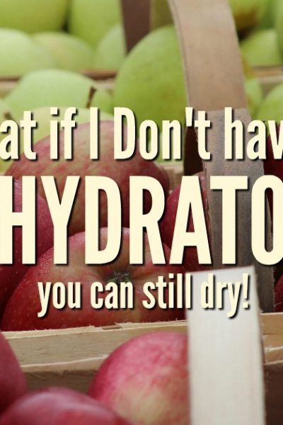 If you don't have a dehydrator, all is not lost, there are still ways to preserve food using the appliances you have at home. Try one of these four methods to get started.
