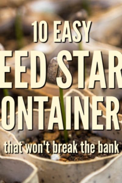 Get a good start on your seeds with these 10 easy seed starting containers that won't break the bank.