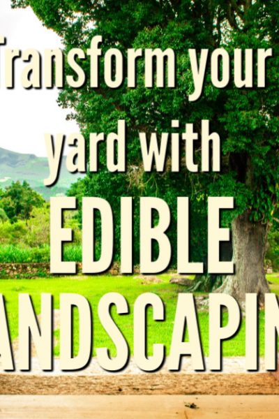 Edible landscaping has become more sought after as individuals realize that a garden can be more than just beautiful to look at.