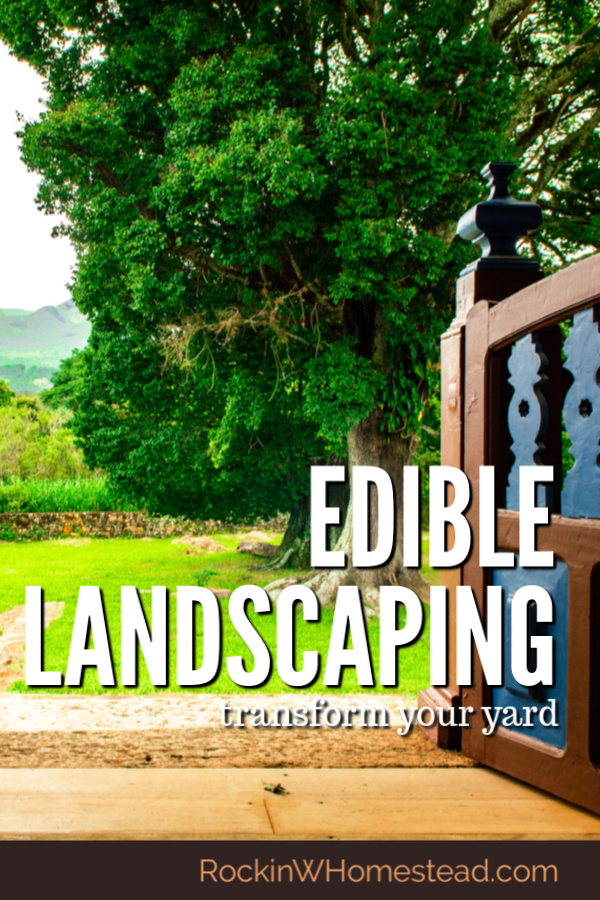 Edible landscaping has become more sought after as individuals realize that a garden can be more than just beautiful to look at.