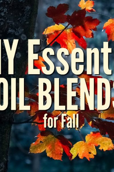 Have your home smelling heavenly with three DIY essential oil blends for fall. You can combine all natural oils with carrier oils and skip the synthetic blends.