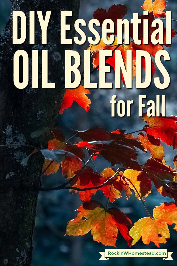 Have your home smelling heavenly with three DIY essential oil blends for fall. You can combine all natural oils with carrier oils and skip the synthetic blends.