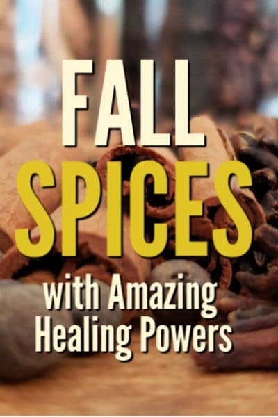 These four amazing spices are used all times of the year, but you'll find that the healing powers of fall spices work especially well when your immune system has a chance of being compromised with seasonal cold and flu. 