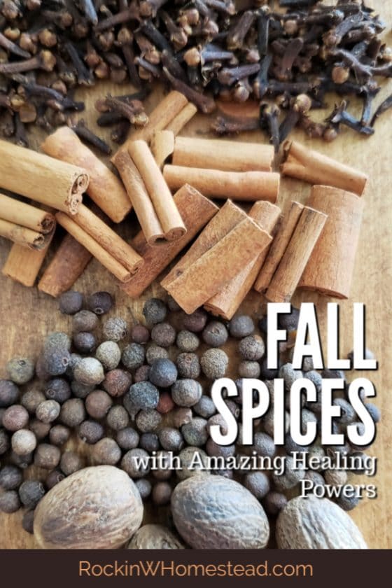 4 Fall Spices With Amazing Healing Powers | Rockin W Homestead