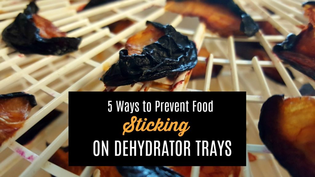 5 Ways to Prevent Food from Sticking to Dehydrator Trays Rockin W