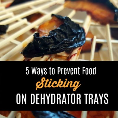 5 Ways to Prevent Food from Sticking to Dehydrator Trays