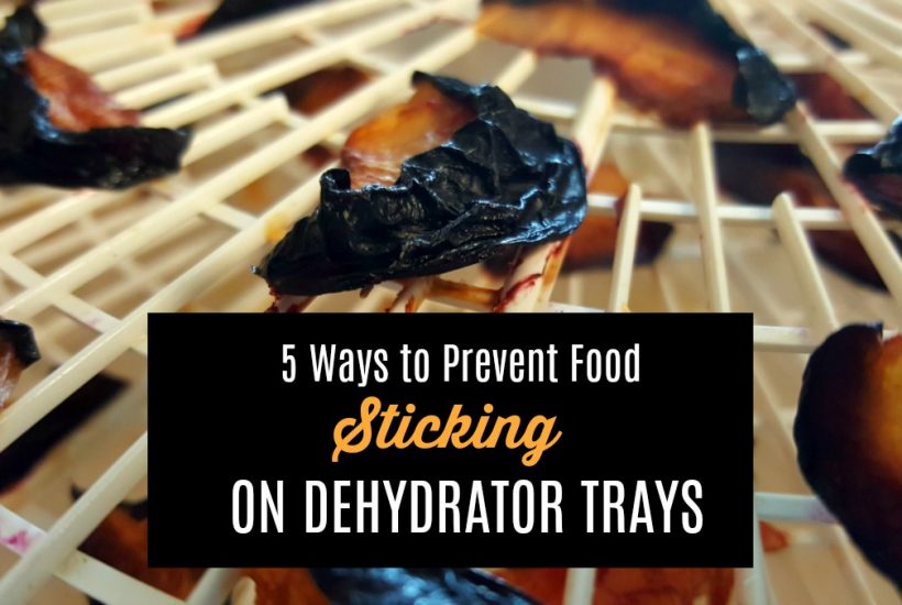 Do you have a problem with food sticking to dehydrator trays? Here are 5 ways to prevent it and what to do if you find yourself with a ruined batch.
