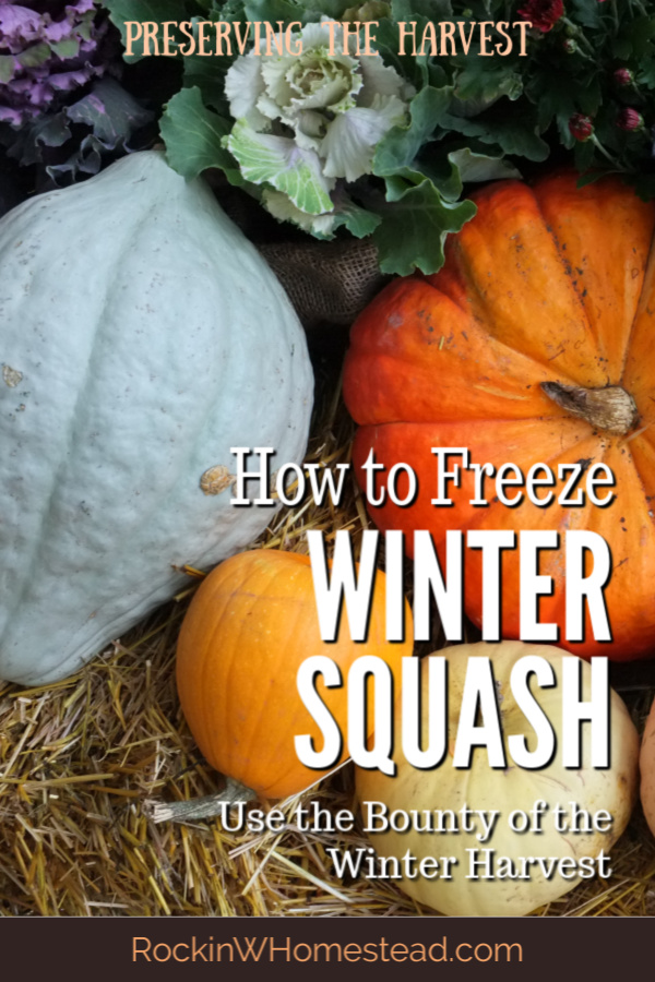 winter squash varieties. Although winter squash is available for most of the year, certain varieties are only here in the fall. Learn how to freeze winter squash for food storage. 