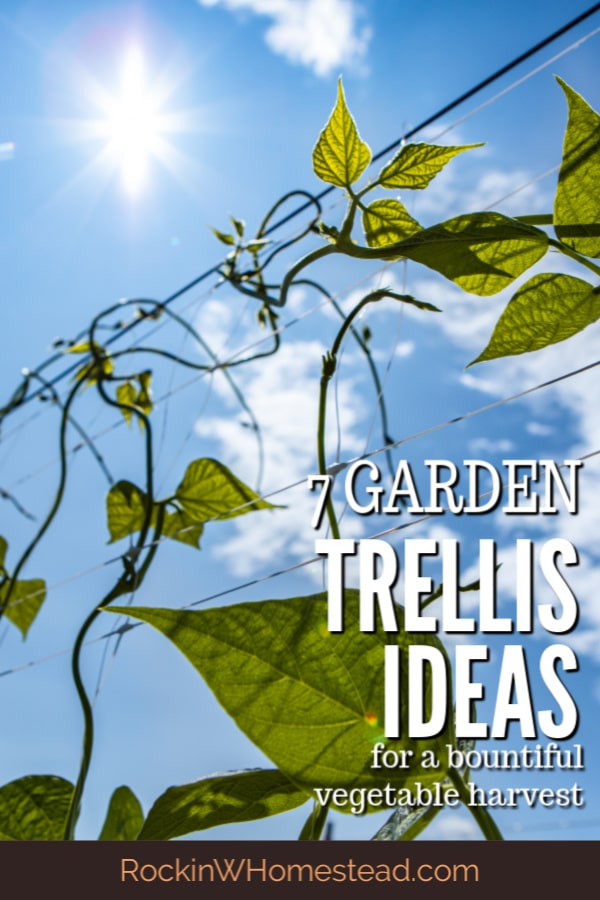 Be sure to utilize at least one garden trellis in your overall garden plan. There are many benefits to growing a least some of your vegetables vertically.