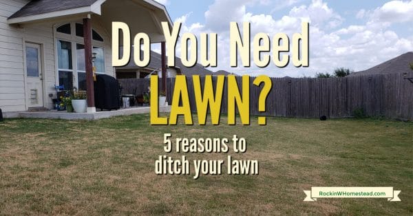 If you've ever considered getting rid of your lawn, these 5 reasons might be the encouragement you need. Rethink your lawn with these 5 tips.