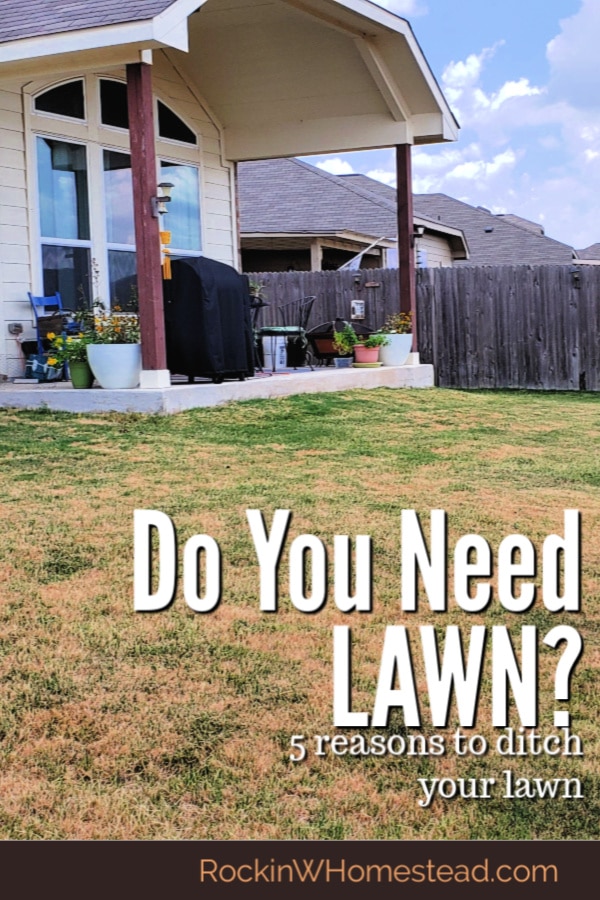 the backyard lawn. should you get rid of it?