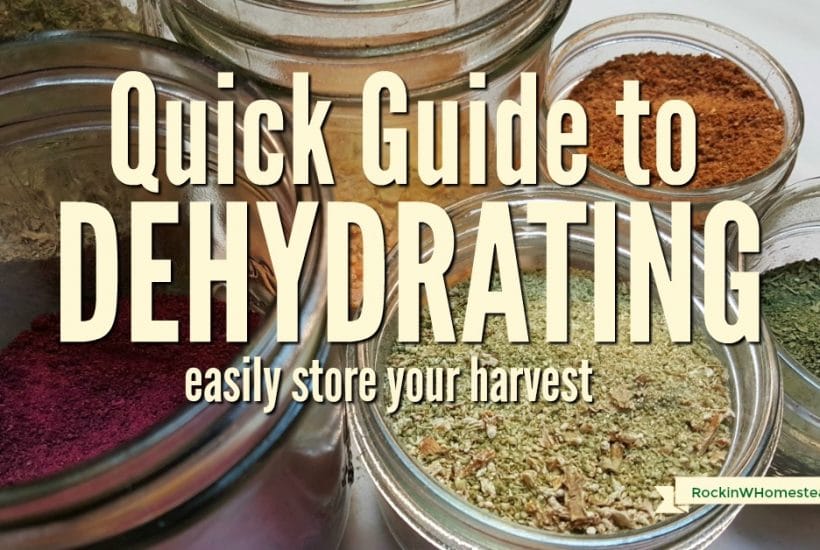 Getting started dehydrating by making snacks with fruit and vegetables. It won’t take long to get comfortable with the process and see your family enjoy it.
