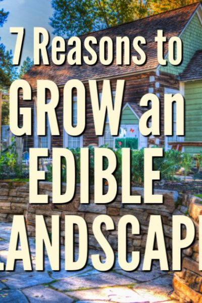 There are many reasons to grow edible landscape plants. Here are seven great motivations to get you interested in starting your edible landscaping adventures today.