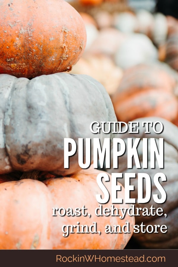 Guide to Pumpkin Seeds Rockin W Homestead
