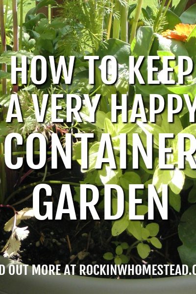 If you live in an apartment or have a small yard, growing in containers may be the only way you can have fresh herbs and vegetables. These container gardening tips will help your plants be happy and producing all season long. | Rockin W Homestead