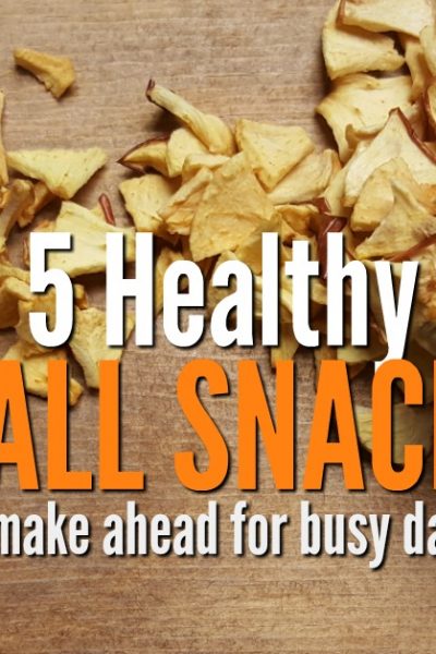 Your days are busy with work, sports, and school activities. Try 5 healthy fall snacks recipes to use the bounty of the season. Terrific to make ahead when time gets short.