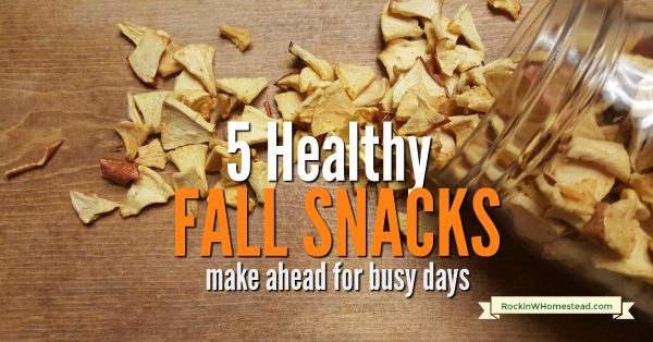 Your days are busy with work, sports, and school activities. Try 5 healthy fall snacks recipes to use the bounty of the season. Terrific to make ahead when time gets short.