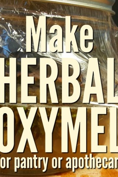 Learn how to make an herbal oxymel for the home apothecary and preserve your herb harvest as you retain beneficial herbal properties.