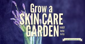 What if you had the ability to naturally ease aches and pains, and nourish your skin! Grow these eight health-giving herbs for a skin care garden. 