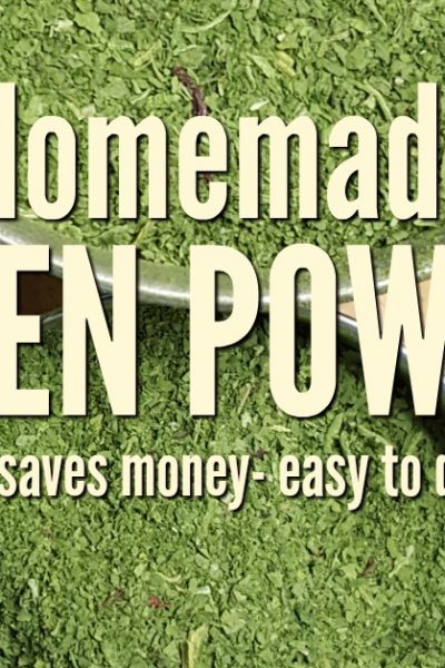 Making your own homemade green powder is the best way to you use your excess harvest and eat healthy greens all year long. They're easy to make and cost saving too. Don't have extra greens from the garden? Take advantage of sales at the local grocery | Rockin W Homestead