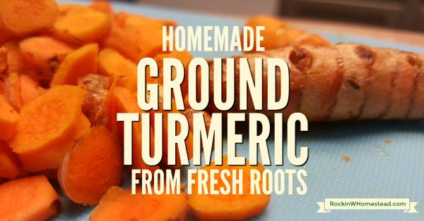 Use fresh, organic turmeric rhizomes to make homemade ground turmeric powder. Organic is absolutely essential if you are planning on using turmeric for its health-promoting herbal properties | Rockin W Homestead