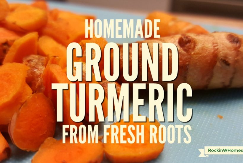 Use fresh, organic turmeric rhizomes to make homemade ground turmeric powder. Organic is absolutely essential if you are planning on using turmeric for its health-promoting herbal properties | Rockin W Homestead