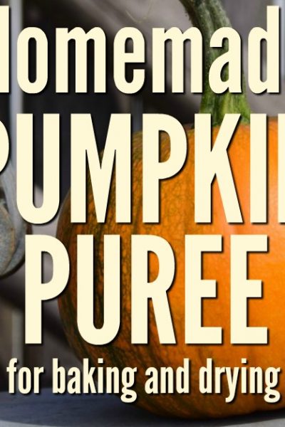 It is easier than you think to make and preserve pumpkin puree. Take advantage of the sales and store it for months. Fall meals should not be without it!