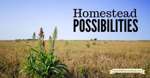Full of homesteading possibilities. Do you have a plan in the back of your mind? One that you hope for, pray about, and study up on, but perhaps never really think it will come to fruition? Rockin W Homestead.com
