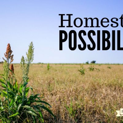 Full of Homesteading Possibilities
