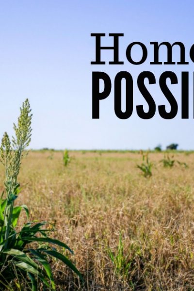 Full of homesteading possibilities. Do you have a plan in the back of your mind? One that you hope for, pray about, and study up on, but perhaps never really think it will come to fruition? Rockin W Homestead.com