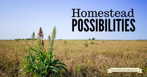 Full of homesteading possibilities. Do you have a plan in the back of your mind? One that you hope for, pray about, and study up on, but perhaps never really think it will come to fruition? Rockin W Homestead.com