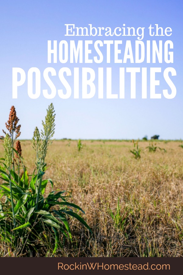 Full of homesteading possibilities. Do you have a plan in the back of your mind? One that you hope for, pray about, and study up on, but perhaps never really think it will come to fruition? Rockin W Homestead.com