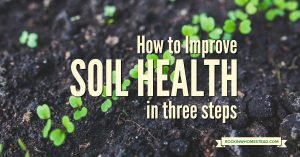 The pursuit of the perfect garden or pasture soil on your homestead may never be achieved, but you can make incremental changes each year toward the goal. Improve your soil in 3 steps with these easy to implement tips | Rockin W Homestead