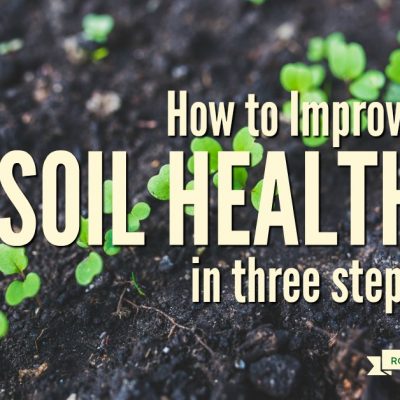 How to Improve Your Soil in 3 Steps