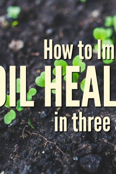 The pursuit of the perfect garden or pasture soil on your homestead may never be achieved, but you can make incremental changes each year toward the goal. Improve your soil in 3 steps with these easy to implement tips | Rockin W Homestead