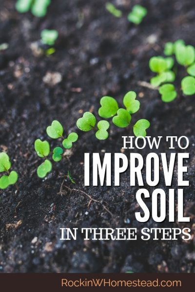 The pursuit of the perfecThe pursuit of the perfect garden or pasture soil on your homestead may never be achieved, but you can make incremental changes each year toward the goal. Improve your soil in 3 steps with these easy to implement tips | Rockin W Homestead