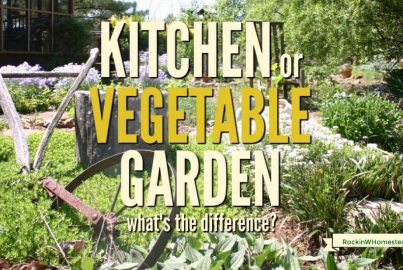 Have you ever wondered exactly what is in a kitchen garden is and how it differs from a regular vegetable garden? Plan and plant a productive kitchen garden today. 