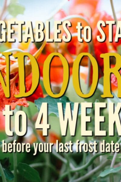 What to plant indoors 3 to 4 weeks before your last frost date